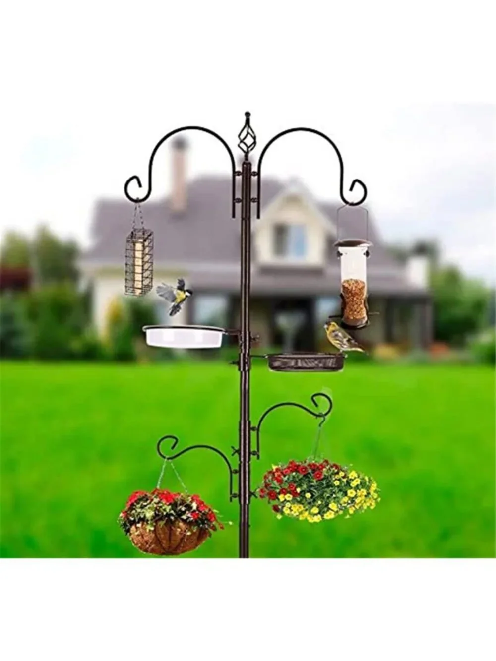 Deluxe Bird Feeding Station Kit with Multi Feeder Hanging Pole, Metal SuetFeeder